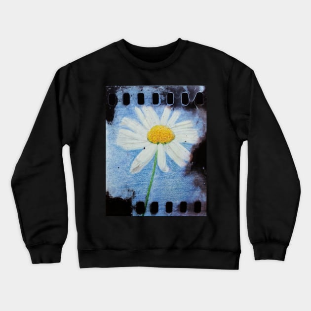 Daisy Crewneck Sweatshirt by teenamarie23art